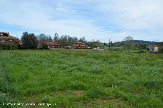  ¡No pierdas la oportunidad de invertir en esta espectacular finca en Navajeda! - CANTABRIA 