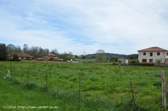 ¡No pierdas la oportunidad de invertir en esta espectacular finca en Navajeda! - CANTABRIA