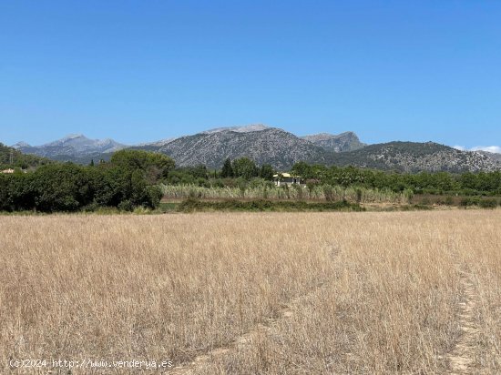 Solar en venta en Alcúdia (Baleares)