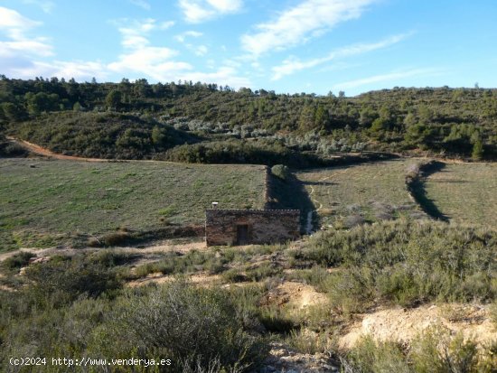 Finca en venta en Fabara (Zaragoza)