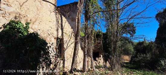 Casa en venta en Sant Feliu de Buixalleu (Girona)