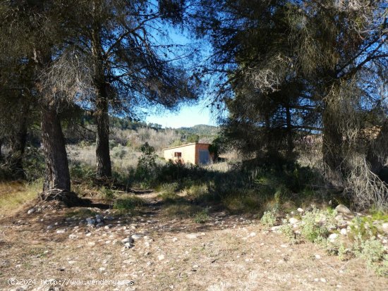 Finca en venta en Caseres (Tarragona)