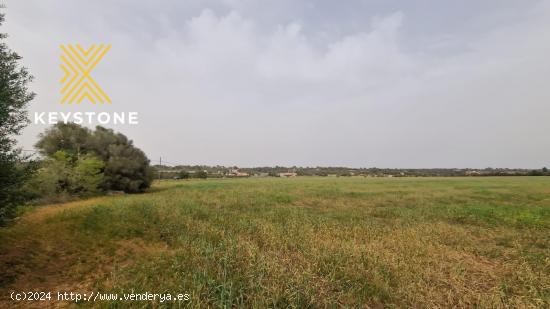 SE VENDE TERRENO EN CAMPOS. - BALEARES