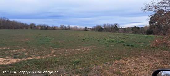 Finca en venta en Peralada (Girona)