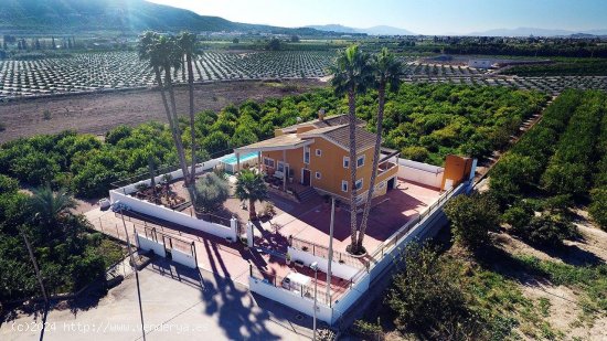 Finca en venta en Orihuela (Alicante)