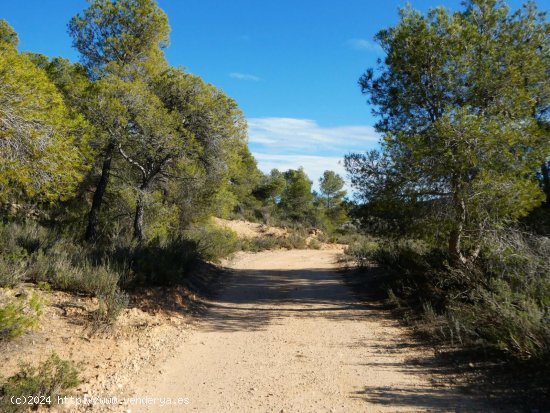 Finca en venta en Maella (Zaragoza)