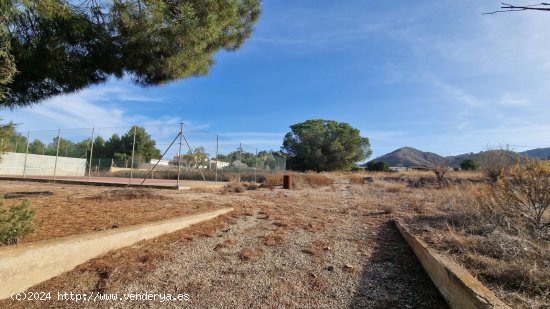 Villa en venta en Lorca (Murcia)