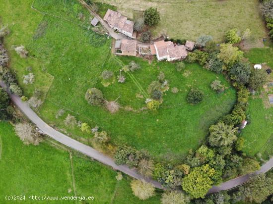 FINCA RÚSTICA EDIFICABLE EN PILOÑA, INFIESTO - ASTURIAS