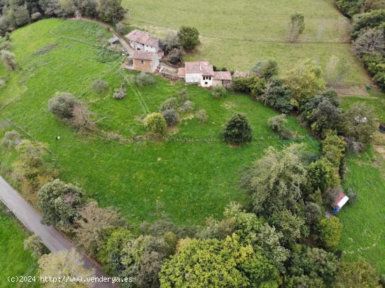 FINCA EDIFICABLE EN PILOÑA, EN UN IMPRESIONANTE PAISAJE NATURAL CON MONTAÑAS, VALLES Y RIOS - ASTU