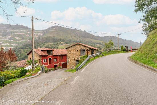 FINCA EDIFICABLE EN PILOÑA, EN UN IMPRESIONANTE PAISAJE NATURAL CON MONTAÑAS, VALLES Y RIOS - ASTU