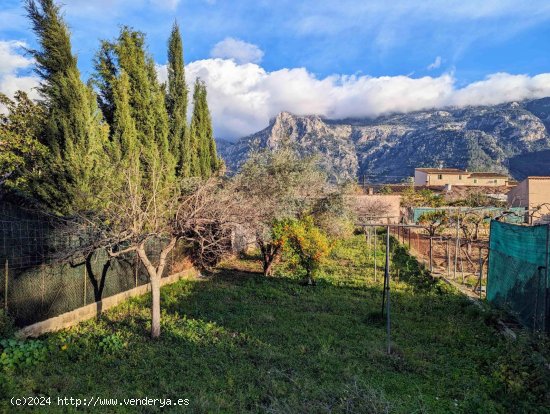 Finca en venta en Sóller (Baleares)