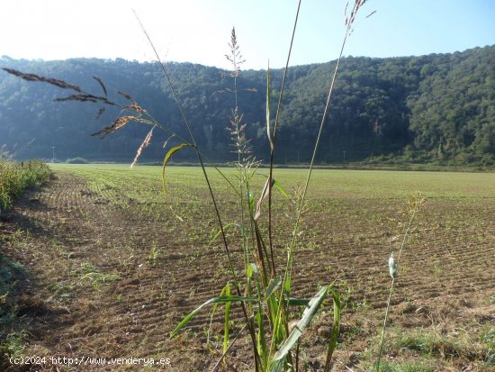 Finca en venta en Sant Feliu de Buixalleu (Girona)