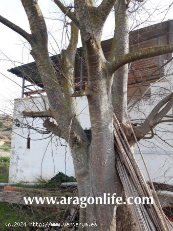 Finca en venta en Caspe (Zaragoza)