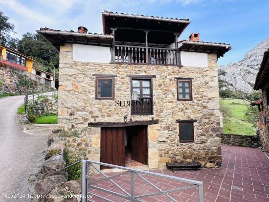 ¡¡CASA DE PIEDRA REFORMADA A LAS PUERTAS DE LIÉBANA!!  2 hogares en 1: ideal familias o inversore