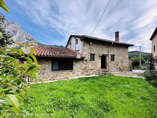 ¡¡CASA DE PIEDRA REFORMADA A LAS PUERTAS DE LIÉBANA!!  2 hogares en 1: ideal familias o inversore