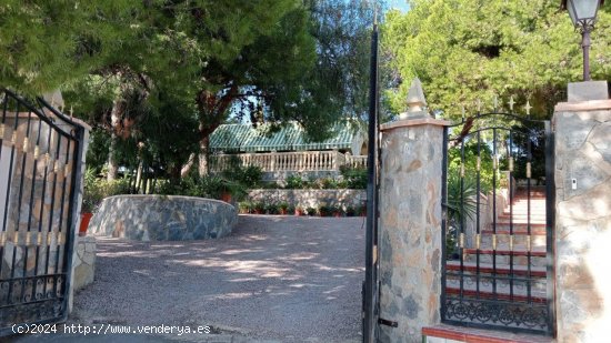  Finca en venta en Crevillent (Alicante) 