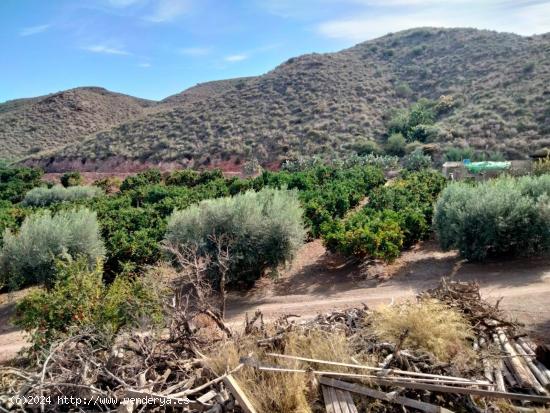  Se Vende en Águilas - MURCIA 