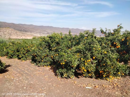 Se Vende en Águilas - MURCIA