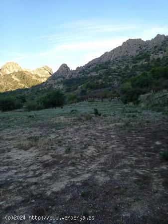 TERRENO RUSTICO CON ALMENDROS 597 metros - ALICANTE