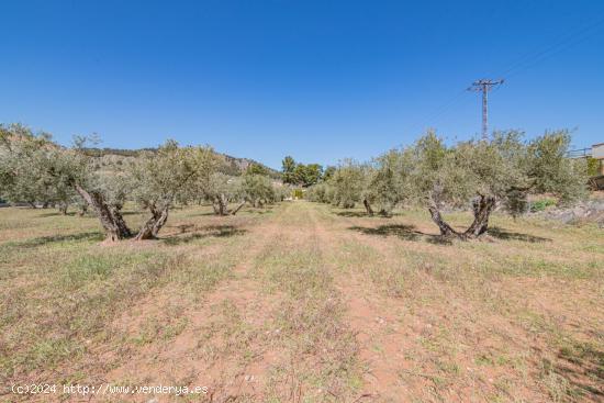 VENTA DE PARCELA URBANIZABLE (ACTUALMENTE RUSTICA) EN EL CAMINO DE LAS CRUCES A 1 MINUTO DE ALBOLOTE