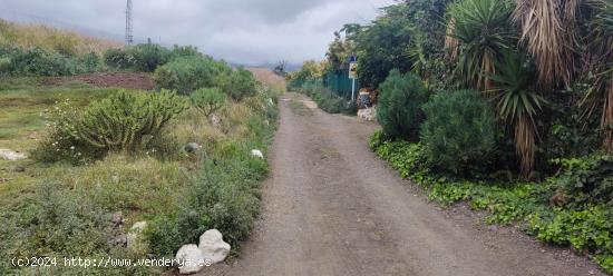 TERRENO URBANIZABLE EN GÜÍMAR - SANTA CRUZ DE TENERIFE