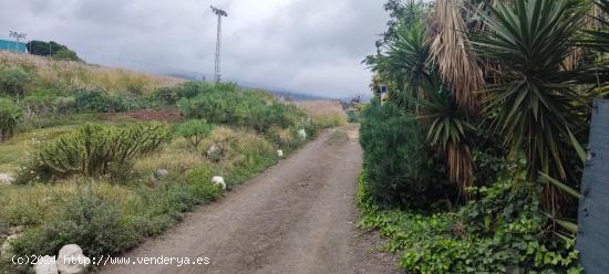 TERRENO URBANIZABLE EN GÜÍMAR - SANTA CRUZ DE TENERIFE