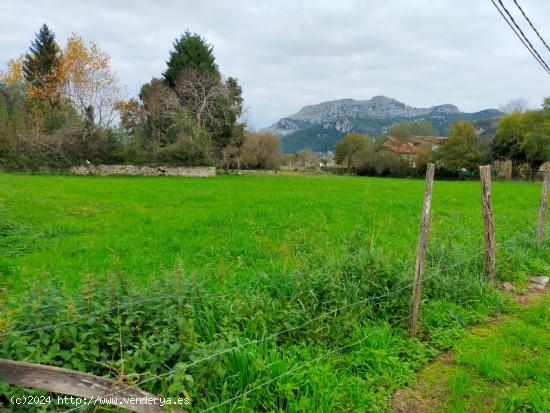 A LA VENTA ESTUPENDO TERRENO URBANO EN LIENDO - CANTABRIA