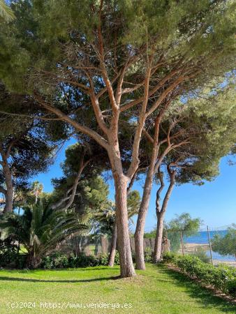 Villa de lujo en primera línea de playa vistas al mar - ALICANTE