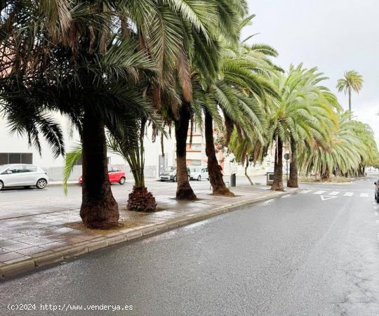 Local comercial en El Palmeral - LAS PALMAS