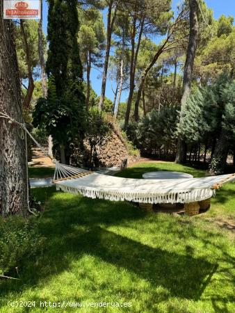 ESPECTACULAR CHALET EN PINARES DEL JUCAR - ALBACETE