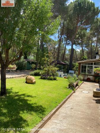 ESPECTACULAR CHALET EN PINARES DEL JUCAR - ALBACETE