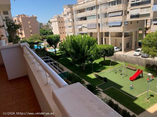 Preciosa vivienda de 4 habitaciones en urbanizacion completa,,piscina,gimnasio,etc. - ALICANTE