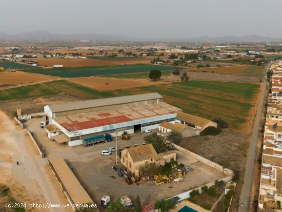 INVERSION EN OPORTUNIDAD: TRES NAVES Y EDIFICACIONES JUNTO AL POLIGONO DE SANTA ANA¡ - MURCIA