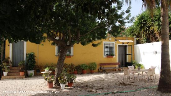 Terreno con construccion en Cañadas de San Pedro - MURCIA