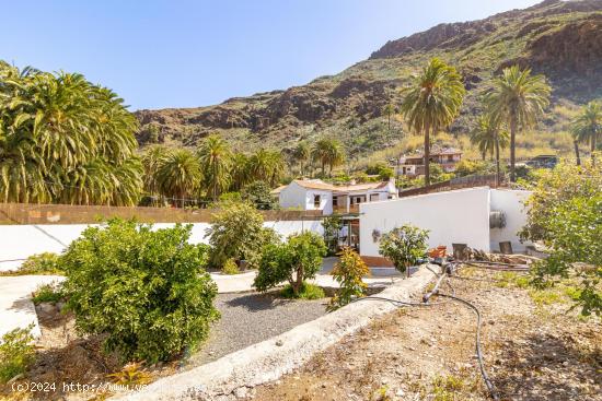 Casa Rural con Apartamento para Invitados en una Propiedad Paradisíaca en Fataga - LAS PALMAS