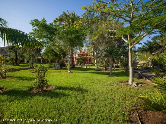 Una joya: fantástico chalet con enorme jardín en Tafira - LAS PALMAS