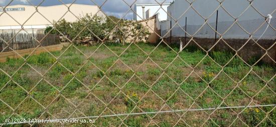 TERRENO URBANO URBANIZABLE EN SON FERRIOL. - BALEARES