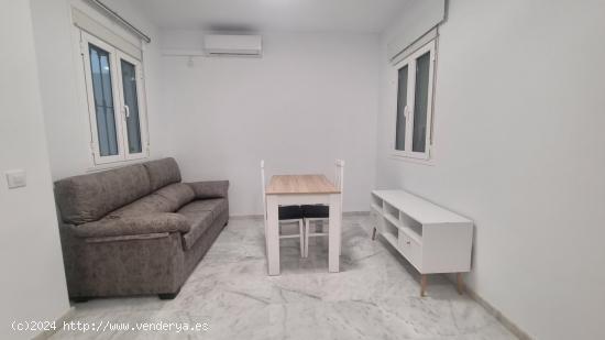 APARTAMENTO-UN DORMITORIO-DOS PATIOS-REYES CATOLICOS - SEVILLA