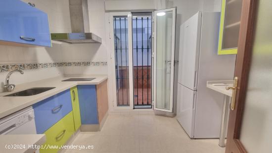 APARTAMENTO-UN DORMITORIO-DOS PATIOS-REYES CATOLICOS - SEVILLA