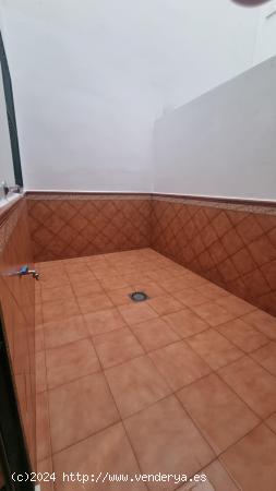 APARTAMENTO-UN DORMITORIO-DOS PATIOS-REYES CATOLICOS - SEVILLA