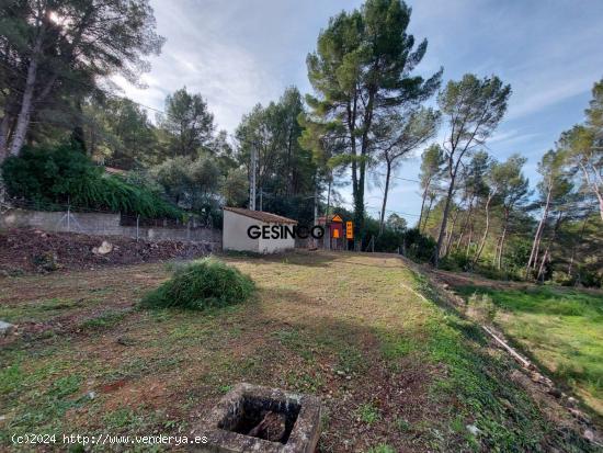 PARCELA MUY BIEN SITUADA EN PLENA NATURALEZA - VALENCIA