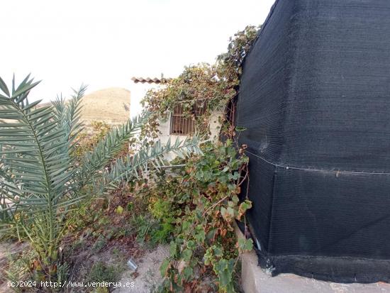 Terreno con caseta de riego y habitación-cocina para ocio - ALMERIA