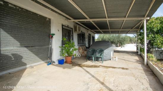 Casa de campo en buen estado en una de las zonas más demandadas de la ciudad de Elda. - ALICANTE