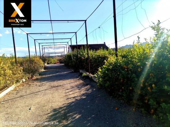 CASA CON TERRENO EN LOS PERIQUITOS FORTUNA - MURCIA