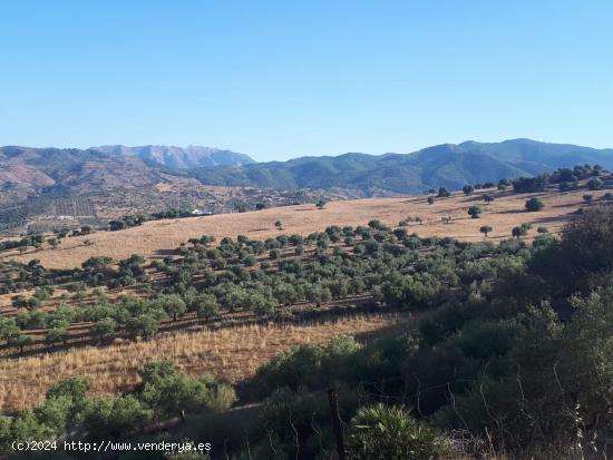 Terreno de 120,000 m² en Tolox, Málaga: Vistas Despejadas y Gran Potencial de Inversión - MALAGA