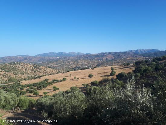 Terreno de 120,000 m² en Tolox, Málaga: Vistas Despejadas y Gran Potencial de Inversión - MALAGA