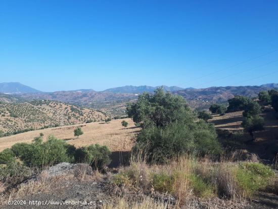 Terreno de 120,000 m² en Tolox, Málaga: Vistas Despejadas y Gran Potencial de Inversión - MALAGA