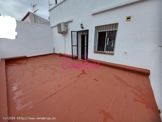  MAGNIFICO ATICO EN PLENO CENTRO. TENDILLAS!!! AMUEBLADO O VACIO?? - CORDOBA 