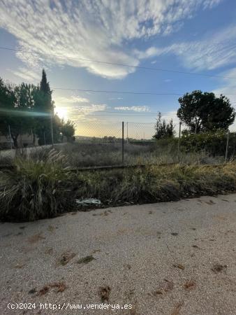 TERRENO URBANO EN EL PALMAR ZONA DE LA PALOMA CERCA DE HOSPITAL ARRIXACA Y MONTEVIDA - MURCIA