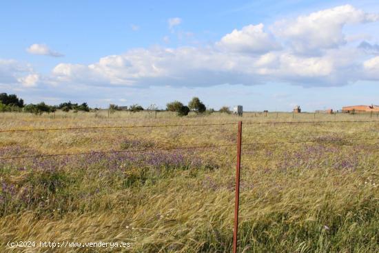 Parcela de 25.000 m2 en Sierra de Fuentes - CACERES